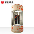 High Quanlity Vertical Elevator 8 Persons MRL Passenger Lift Elevator Glass House Luxury